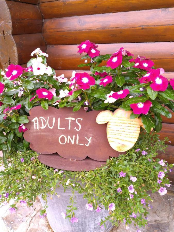 Au Paradou Du Bucheron Adults Only Lessive Exterior photo